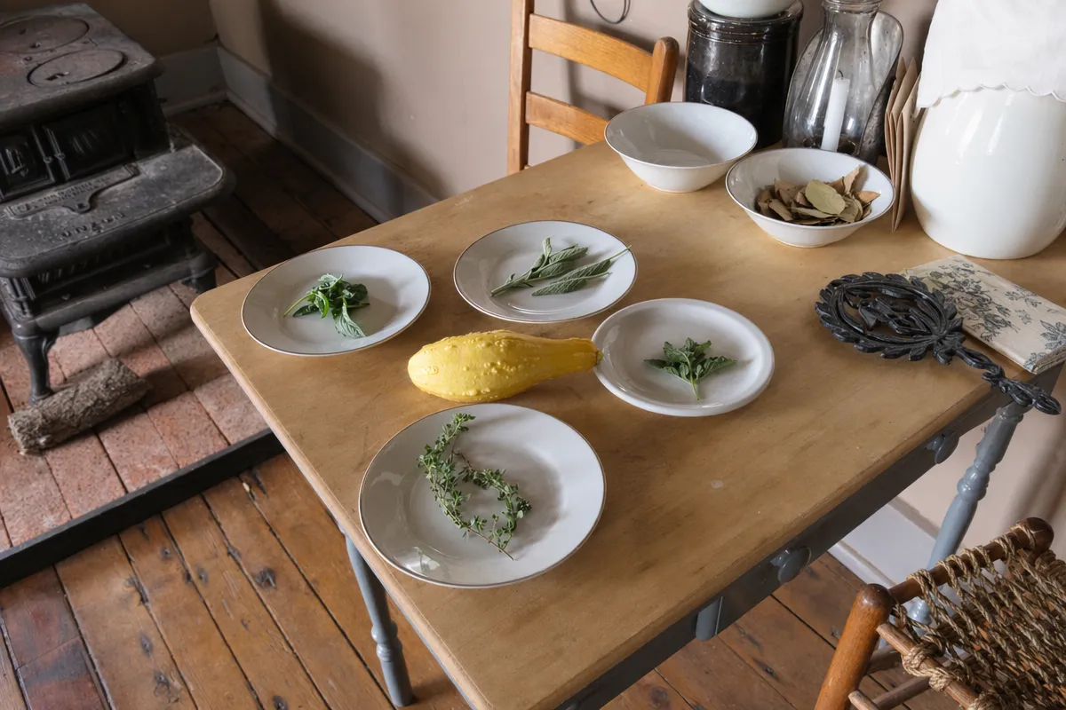 An assortment of freshly harvested herbs including parsley and cilantro