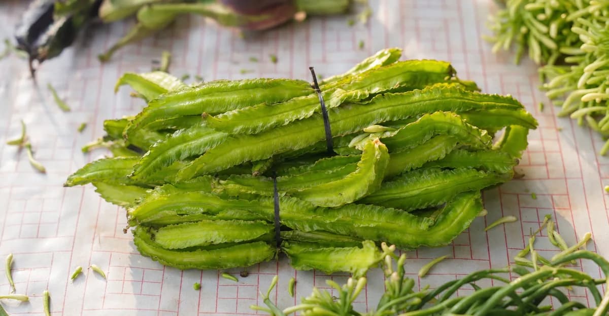 Comparaison côte à côte de deux gousses de légumineuses grimpantes : à gauche une gousse verte de pois carré à quatre ailes et à section carrée (Psophocarpus tetragonolobus) aux arêtes longitudinales frangées ; à droite une gousse lisse, ronde et fine comme un crayon de haricot kilomètre (Vigna unguiculata subsp. sesquipedalis) plus de deux fois plus longue, sur un fond de jardin doux et flou