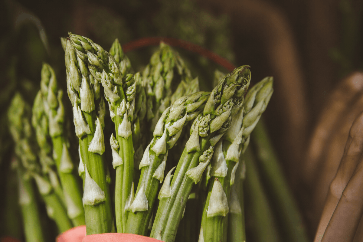 Asparagus image