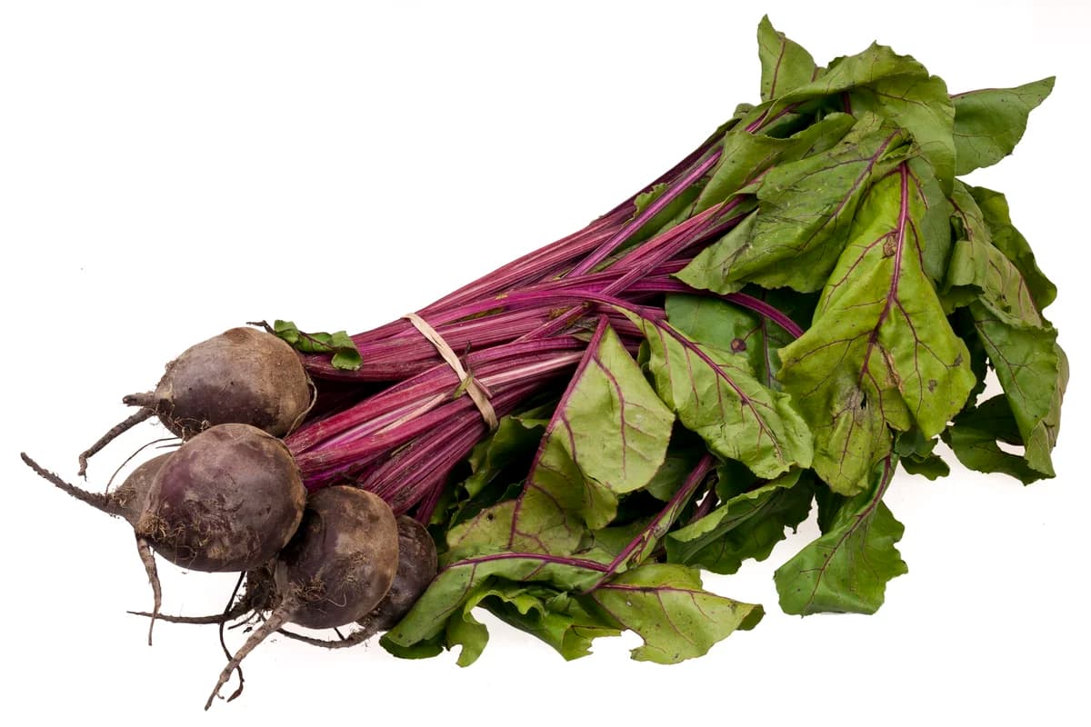 Beet image