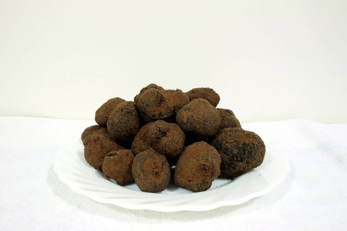 Black Truffle (Tuber melanosporum) cross-section