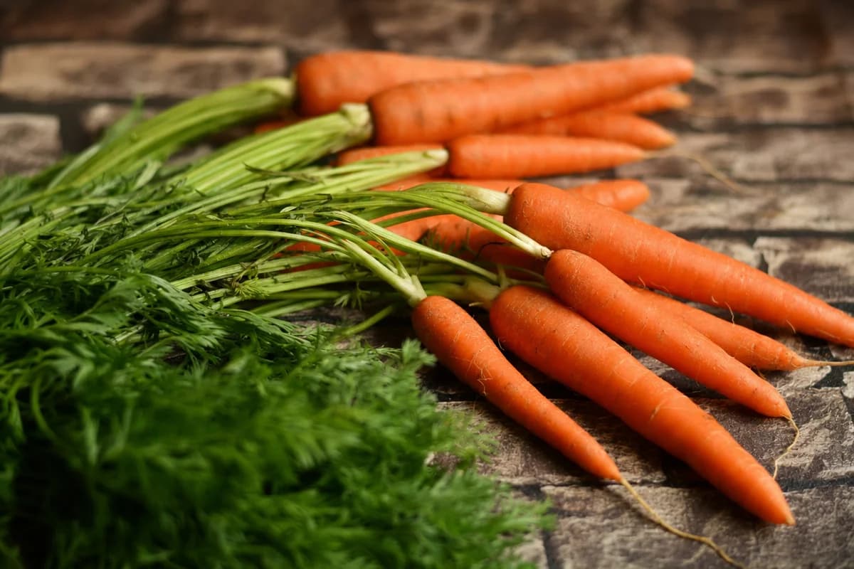 Carrot image