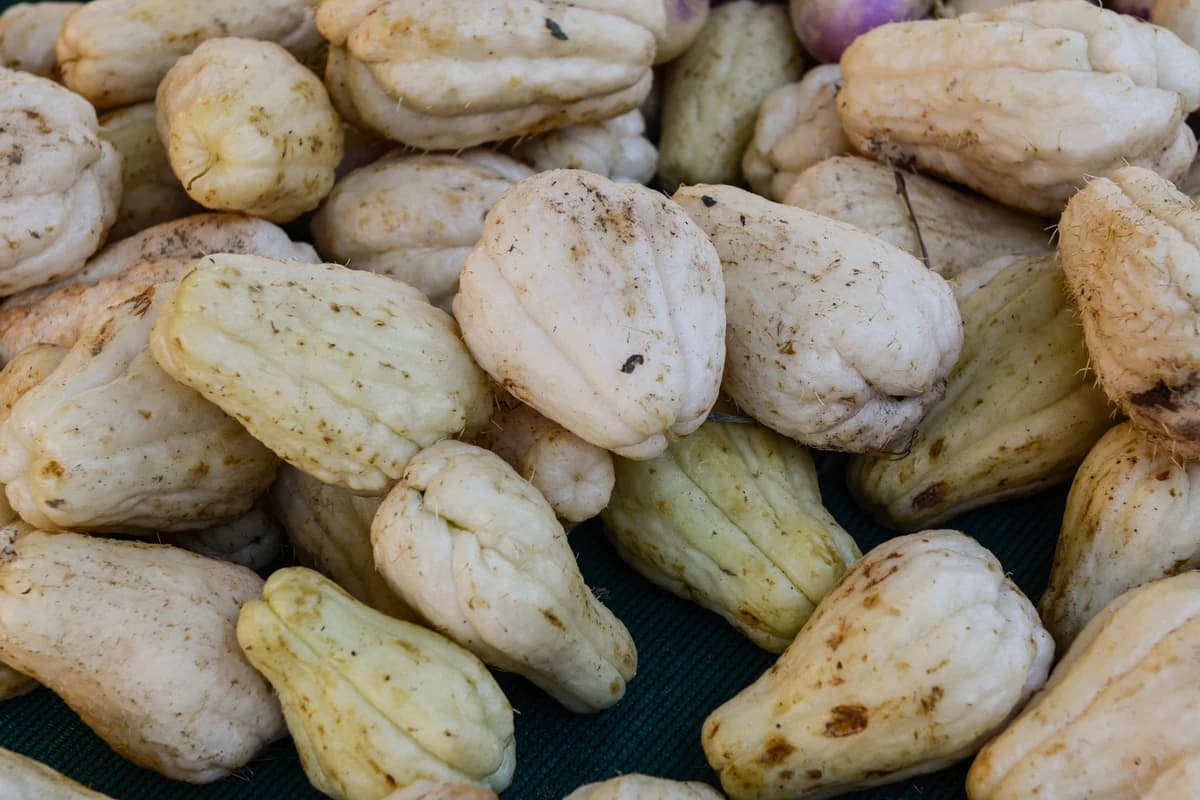 Chayote image
