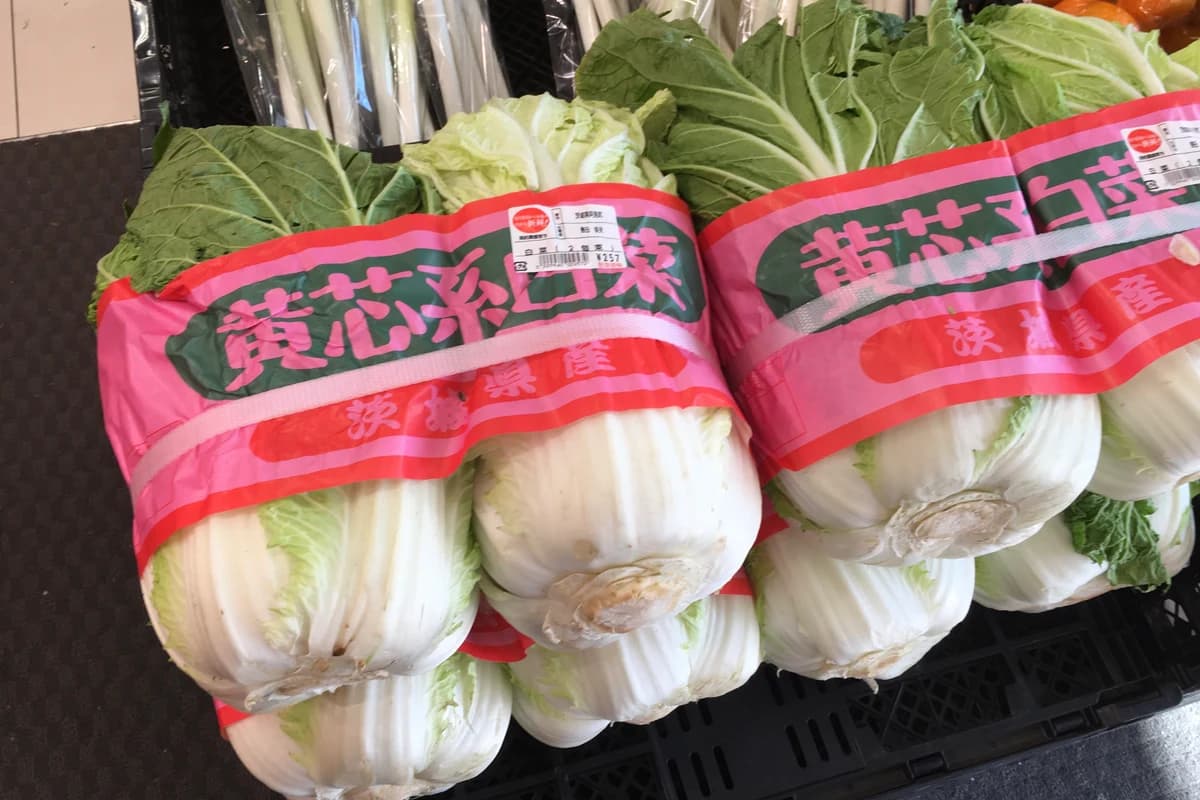 Chinese Cabbage (Wombok) image