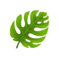 Plants & Gardening Ideas