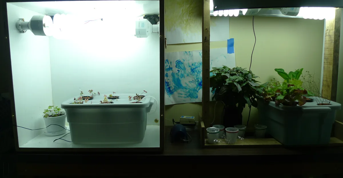 Two small indoor hydroponic reservoir systems under grow lights with leafy greens and starter plants